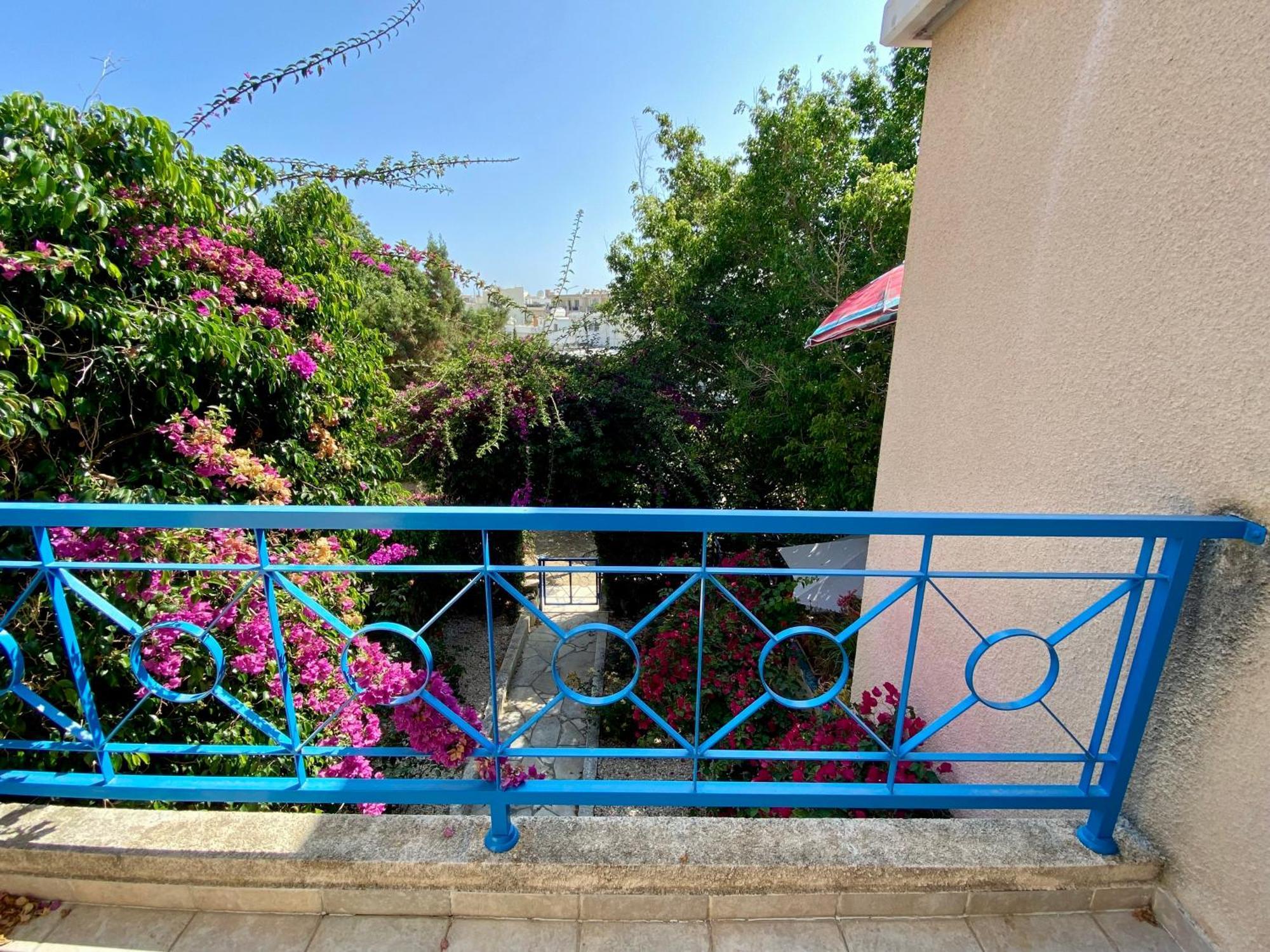 Seaside Sun Kissed House With Pool In Tourist Area Hébergement de vacances Paphos