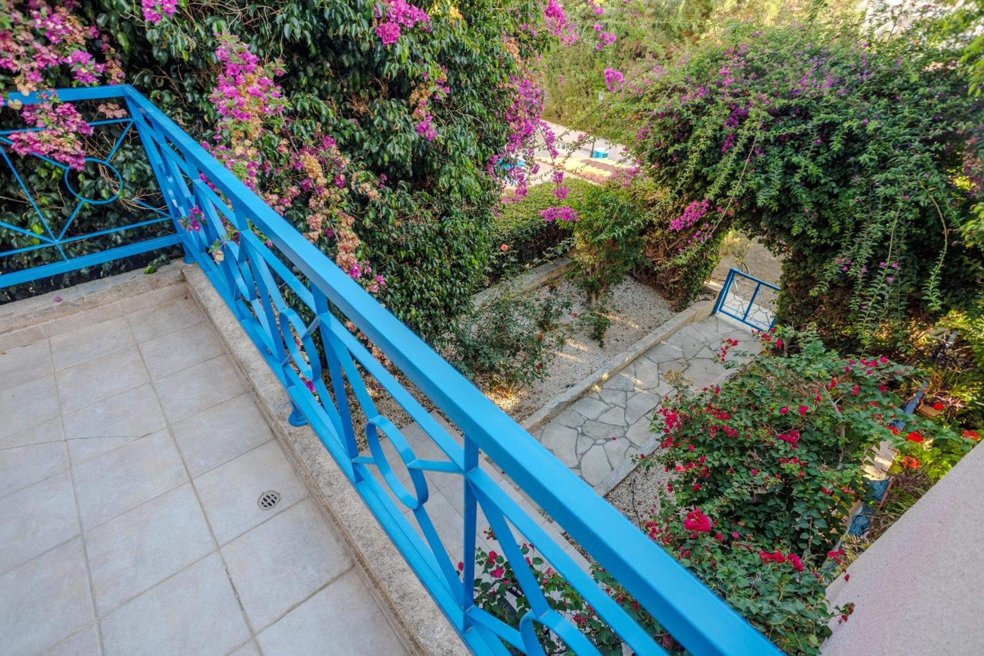 Seaside Sun Kissed House With Pool In Tourist Area Hébergement de vacances *